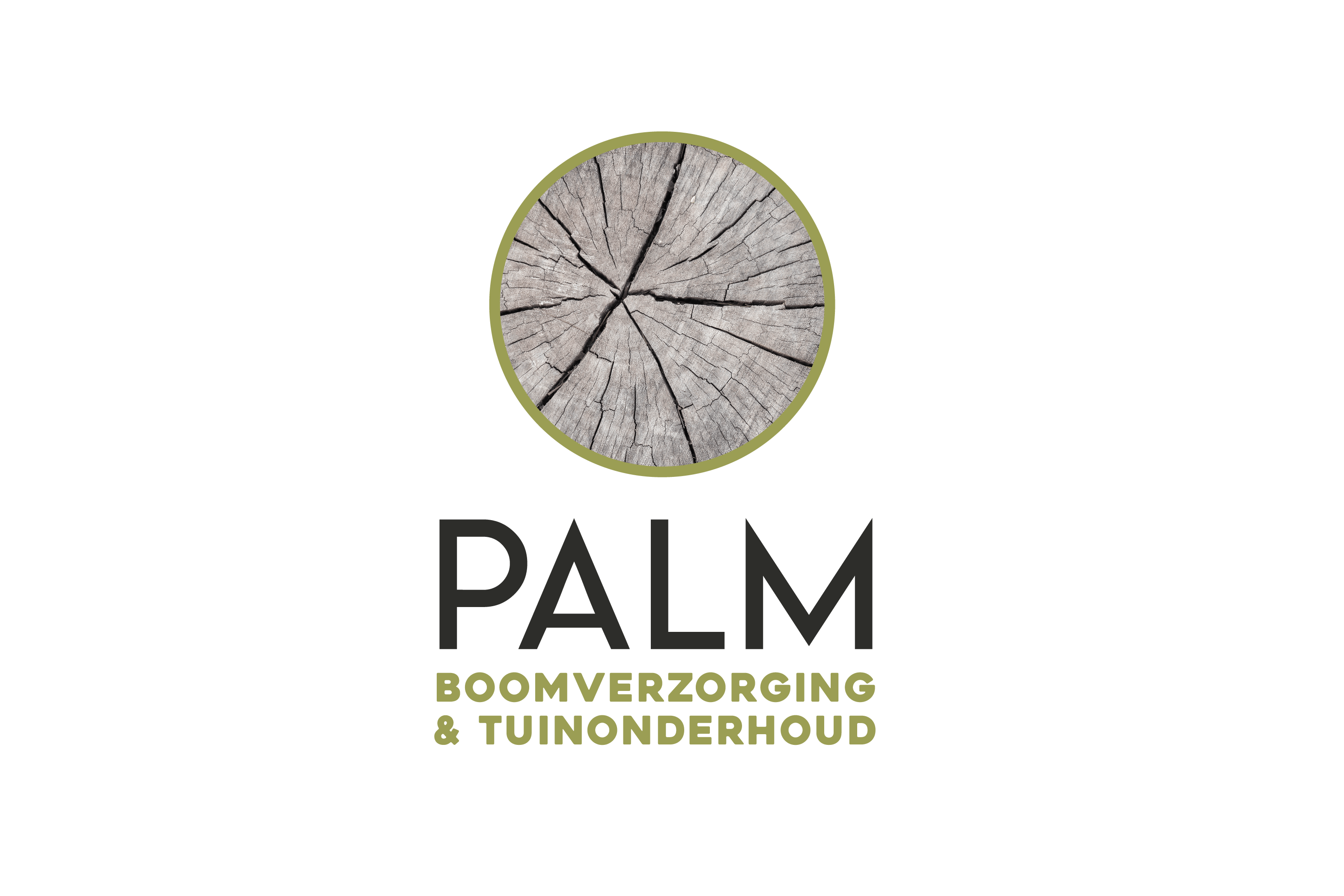 Palm boomverzorging tuinonderhoud